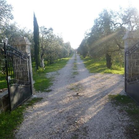 Farm Agriturismo Masseria Chiusurella Villa Корато Екстериор снимка